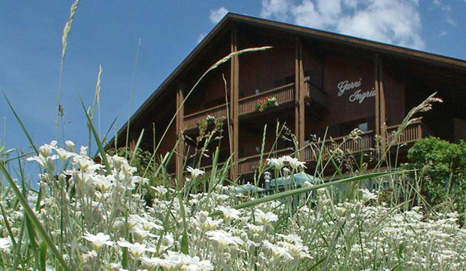 Hotel Panorama Garni Ingrid Toblach Exterior foto